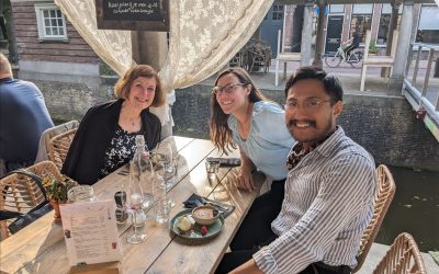 Insights 13 – August 2023